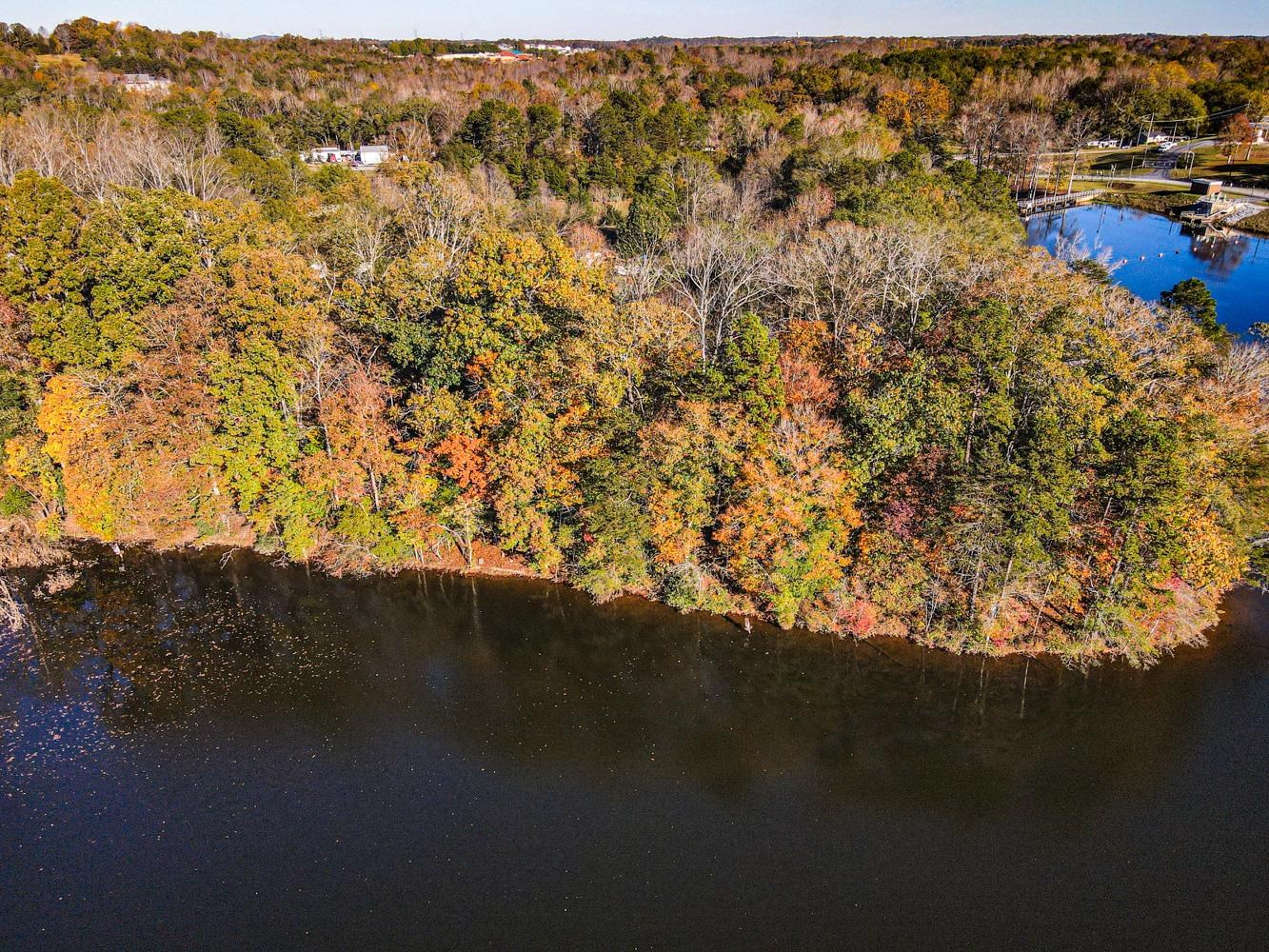 Lake Cunningham Road, Greer, South Carolina image 5