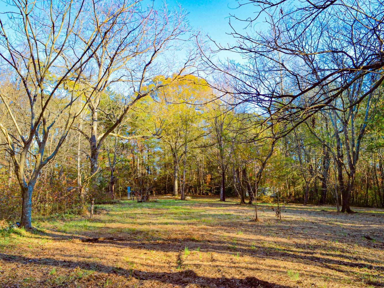 Lake Cunningham Road, Greer, South Carolina image 13