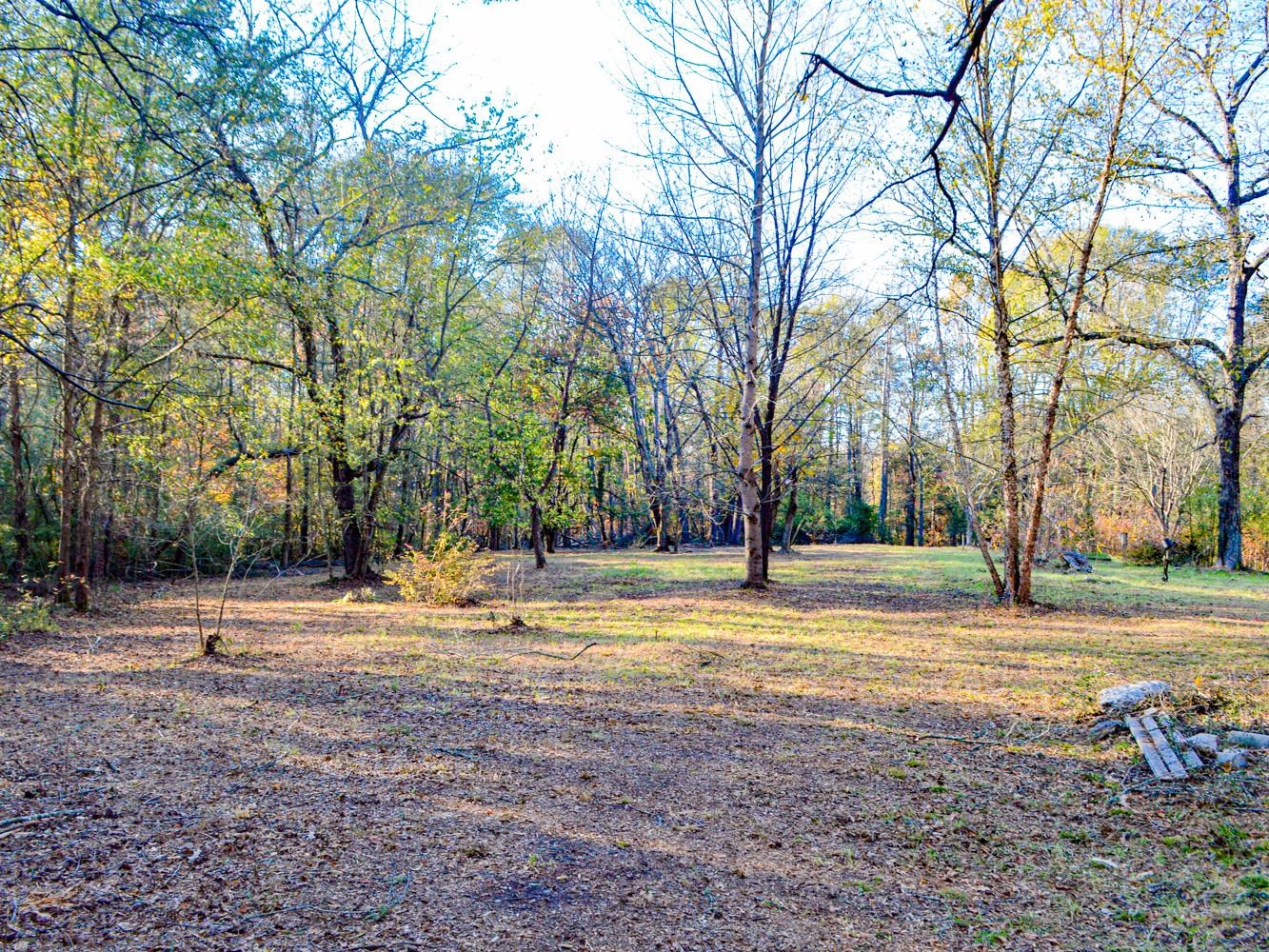 Lake Cunningham Road, Greer, South Carolina image 10