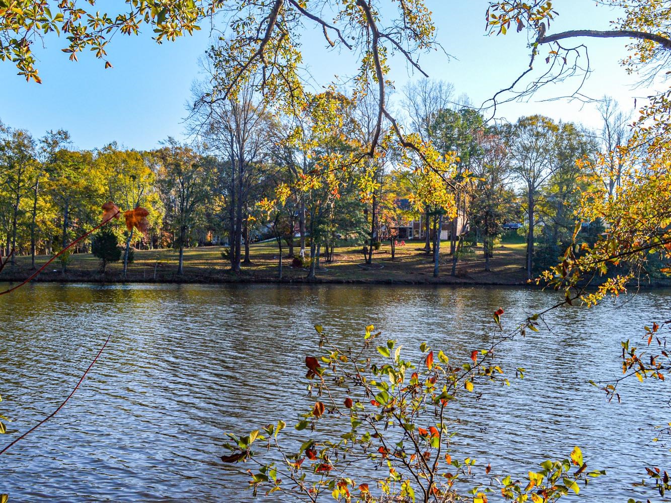 Lake Cunningham Road, Greer, South Carolina image 15