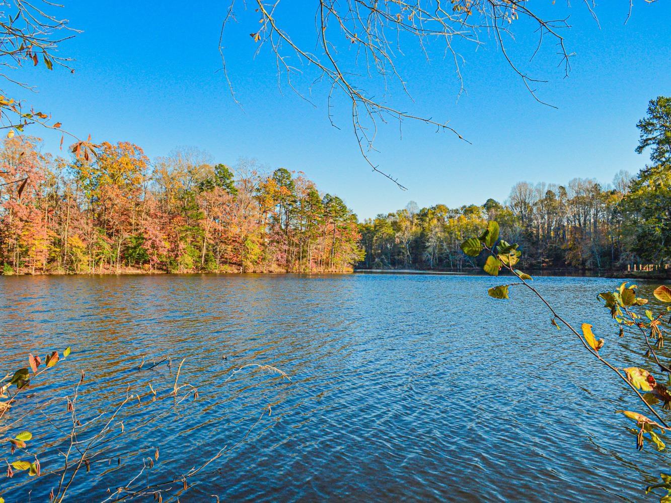Lake Cunningham Road, Greer, South Carolina image 14