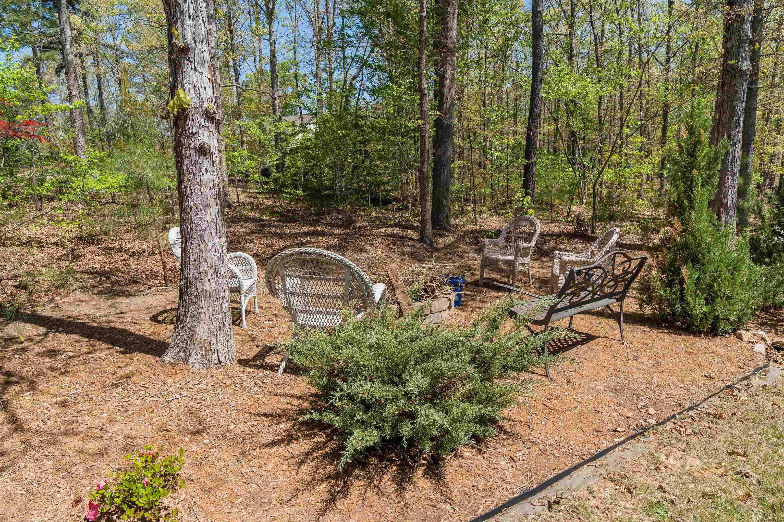 322 Roy Hall Way, Campobello, South Carolina image 26