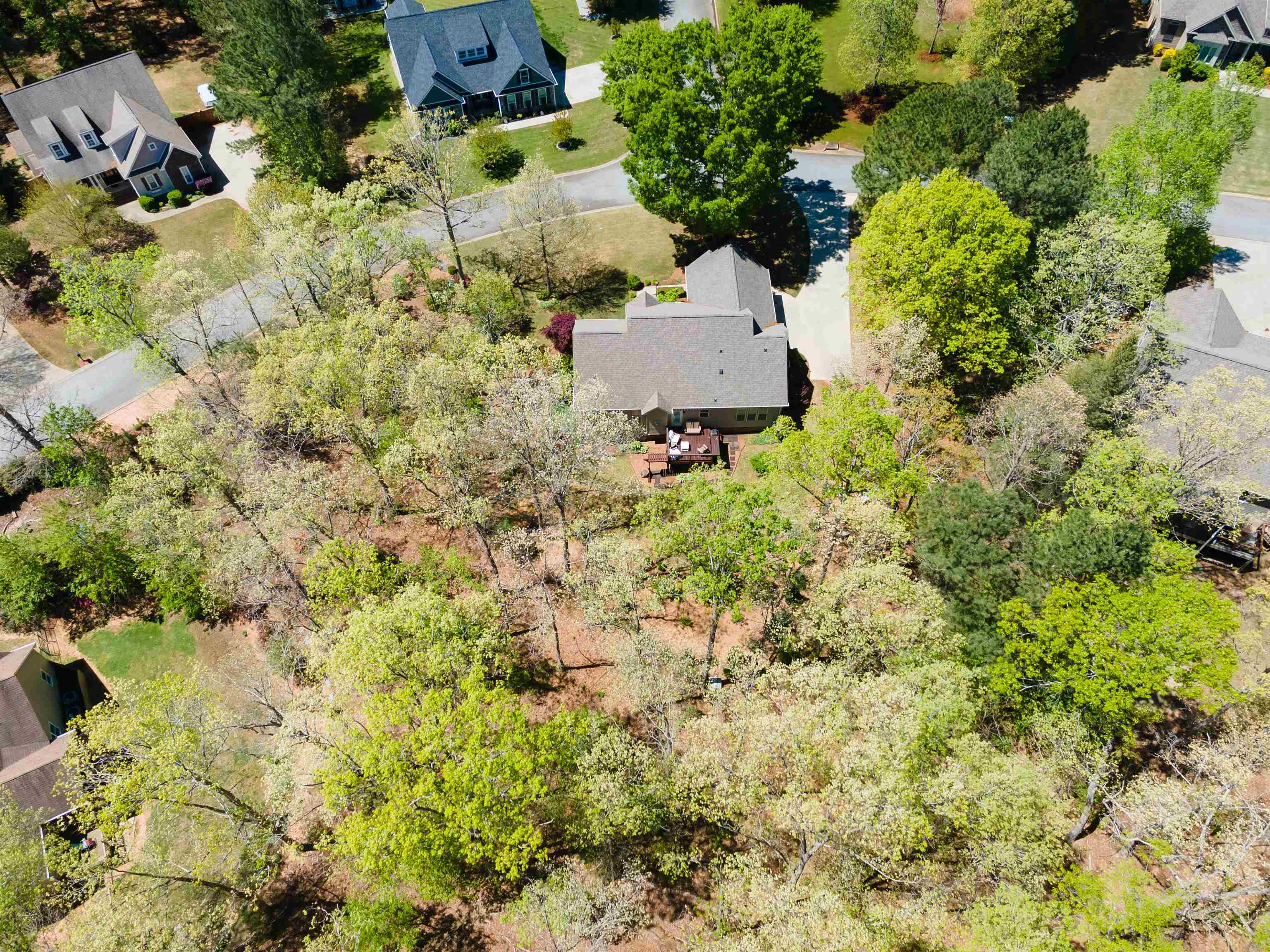 322 Roy Hall Way, Campobello, South Carolina image 44