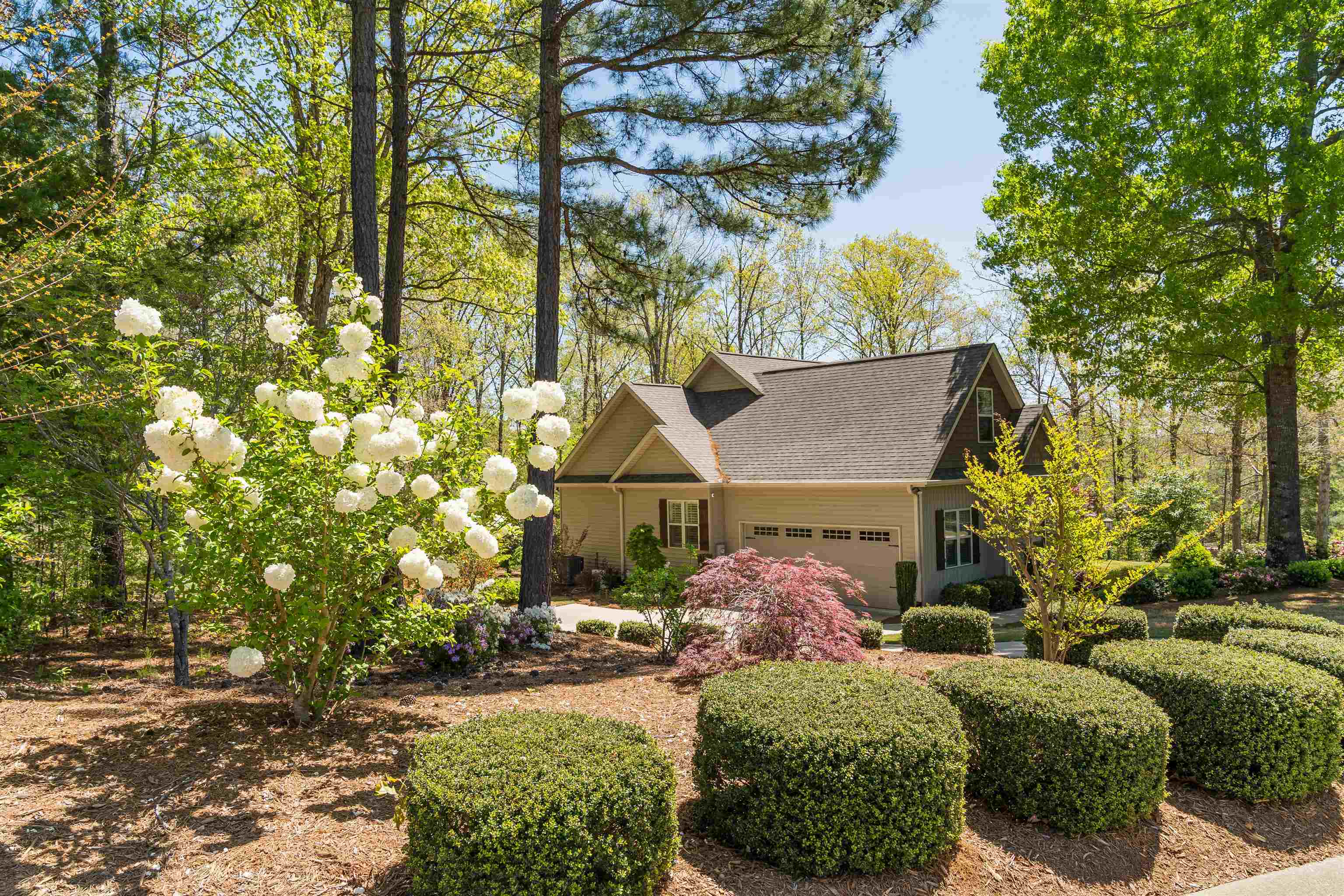322 Roy Hall Way, Campobello, South Carolina image 2