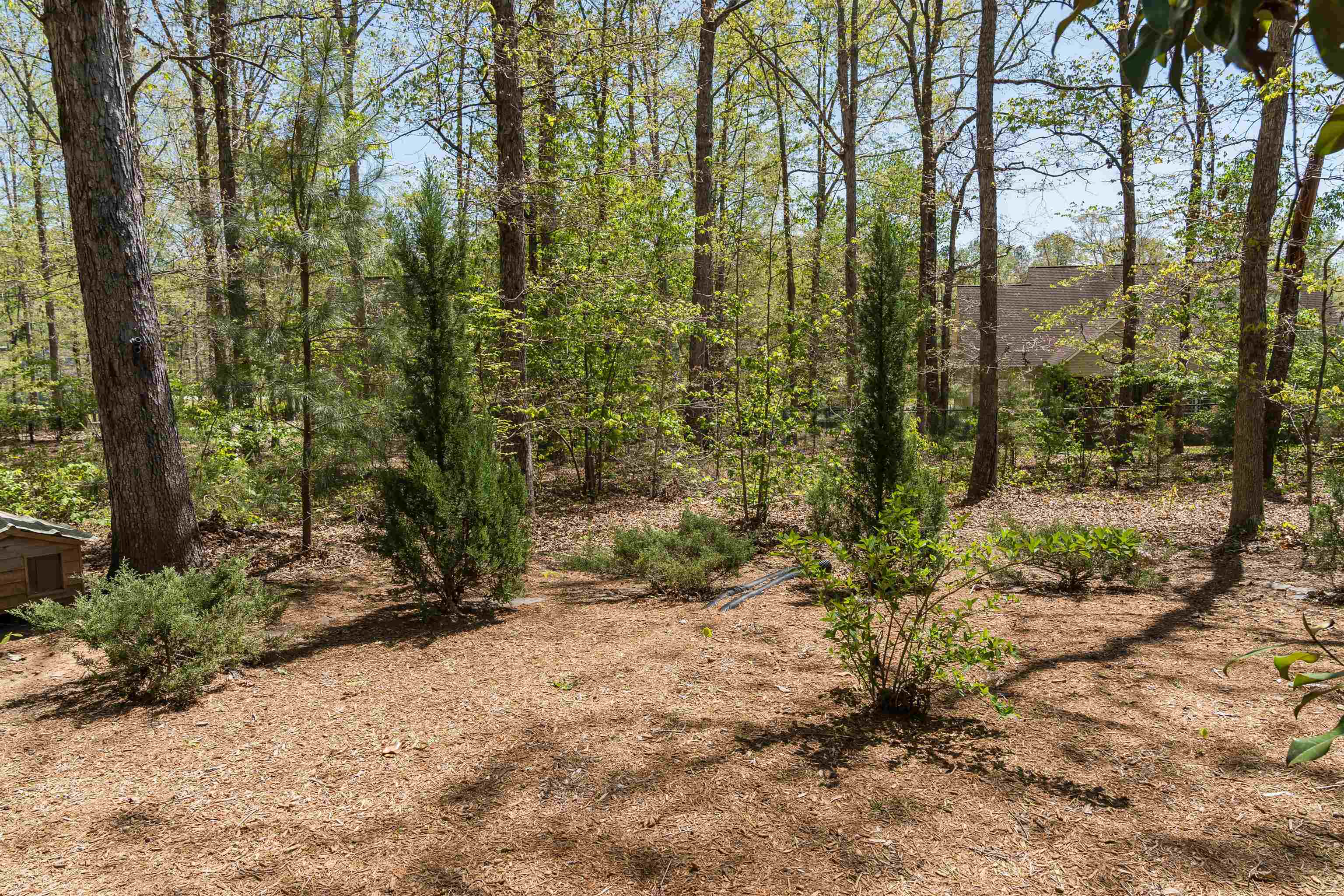 322 Roy Hall Way, Campobello, South Carolina image 49