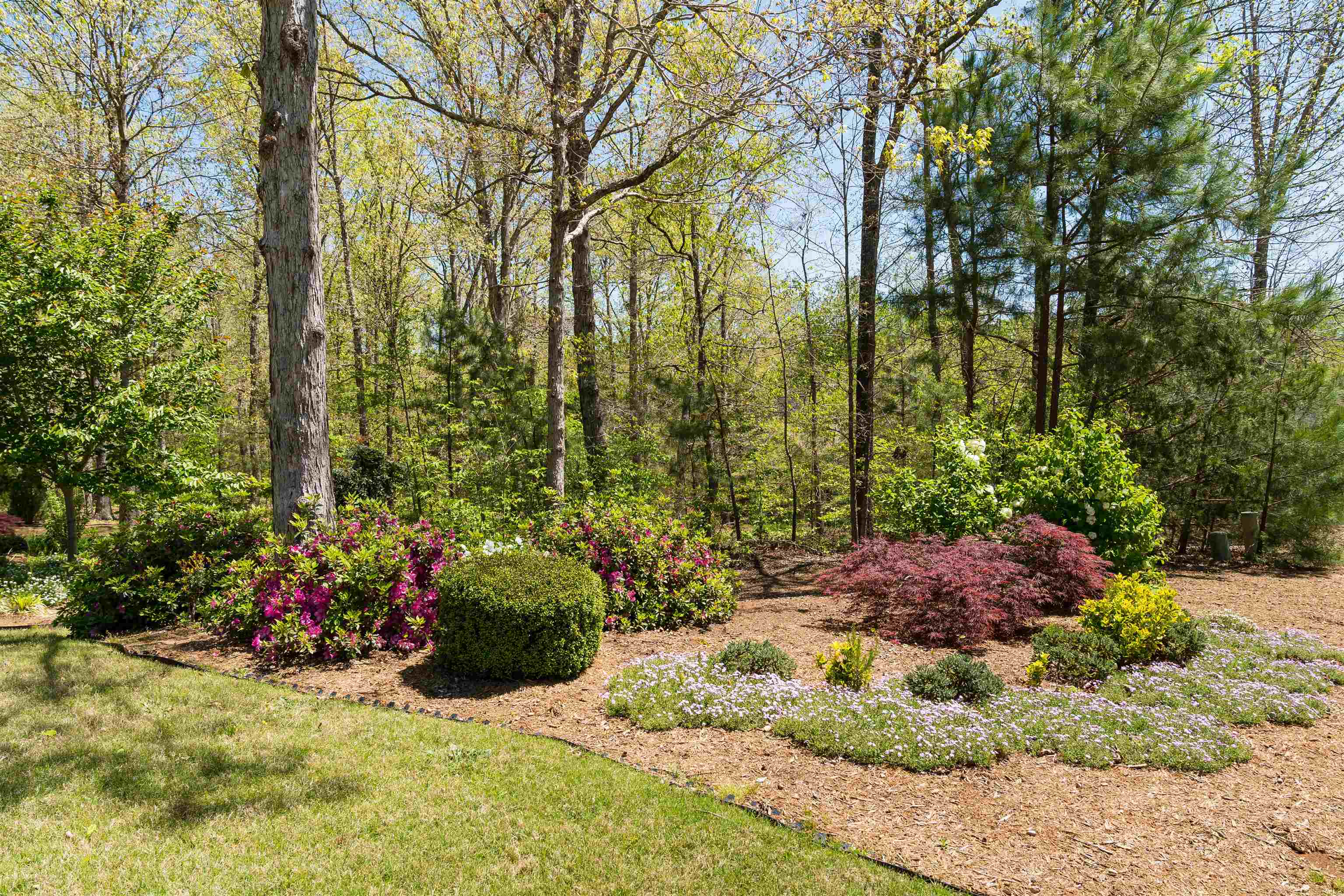 322 Roy Hall Way, Campobello, South Carolina image 42