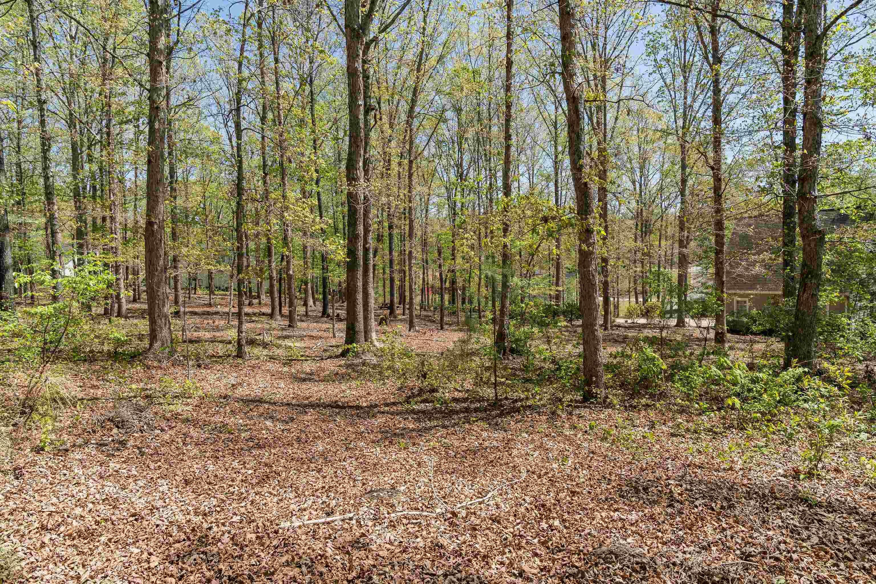 322 Roy Hall Way, Campobello, South Carolina image 48