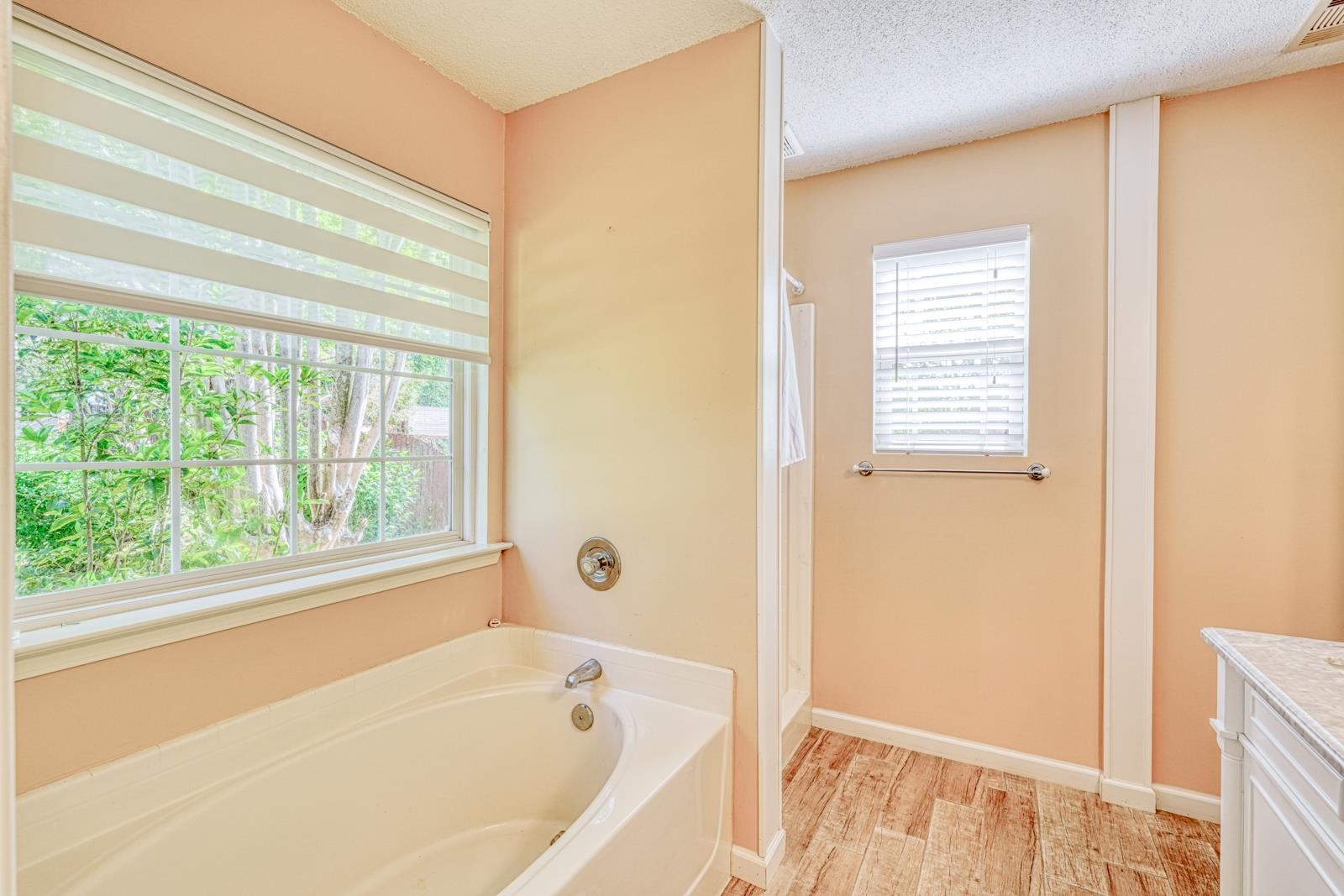307 Valhalla Lane, Simpsonville, South Carolina image 30