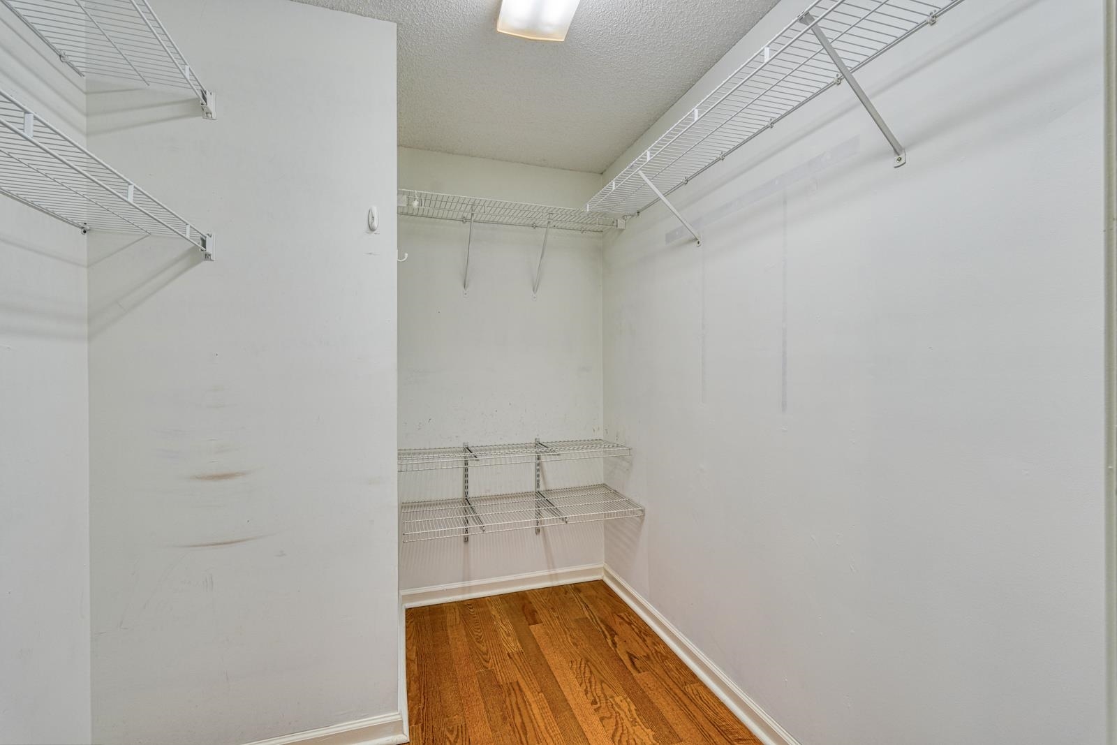 307 Valhalla Lane, Simpsonville, South Carolina image 31