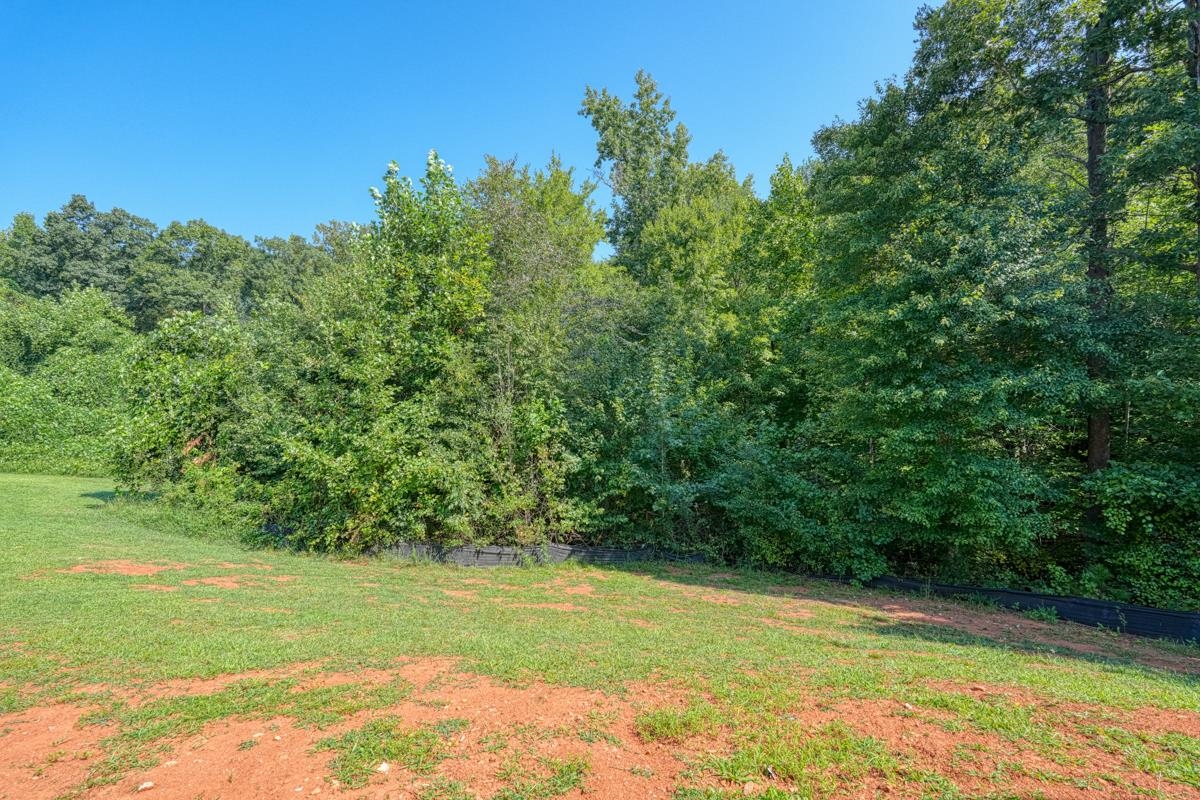 268 Golden Leaf Lane, Inman, South Carolina image 15