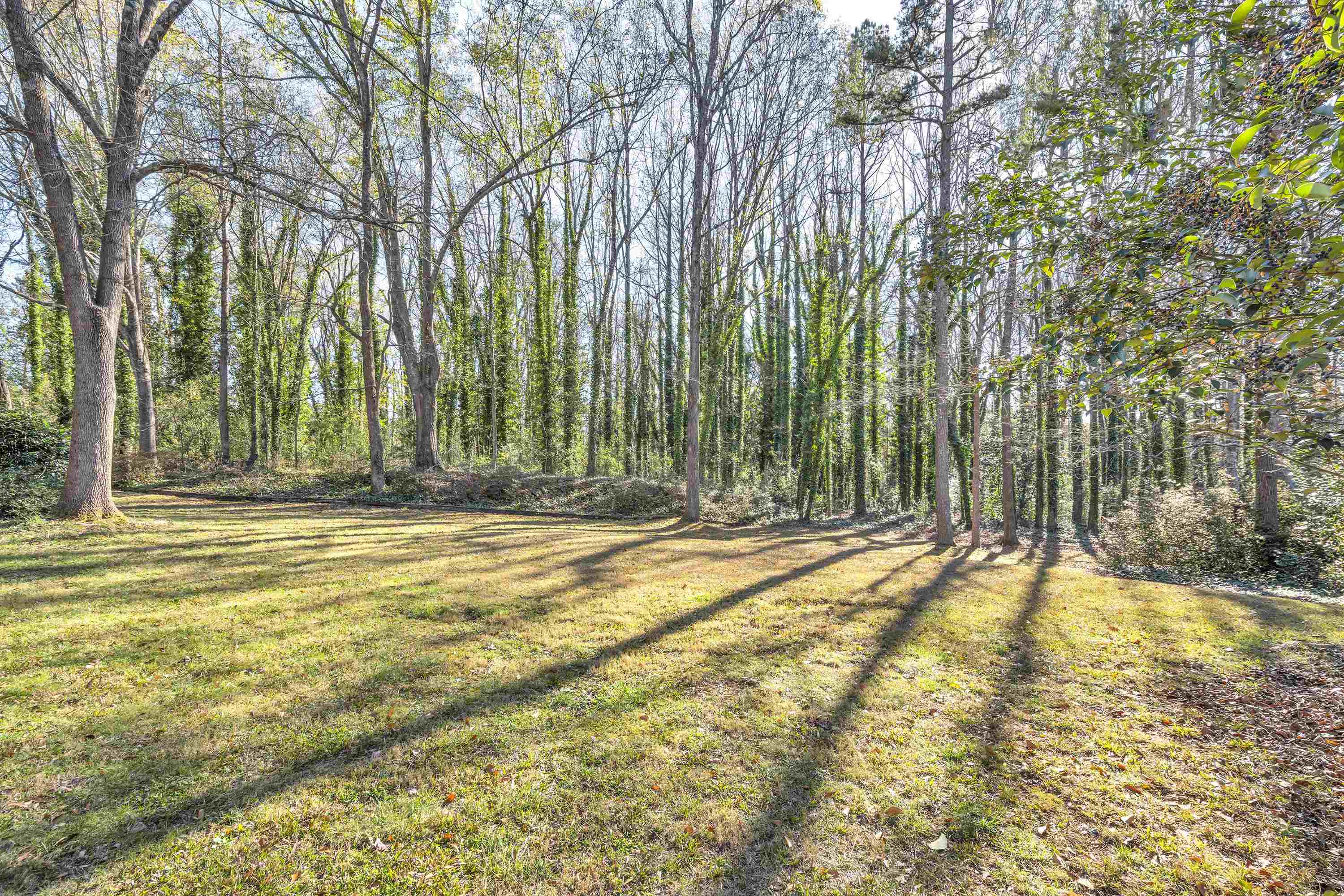 502 Audubon Drive, Spartanburg, South Carolina image 24
