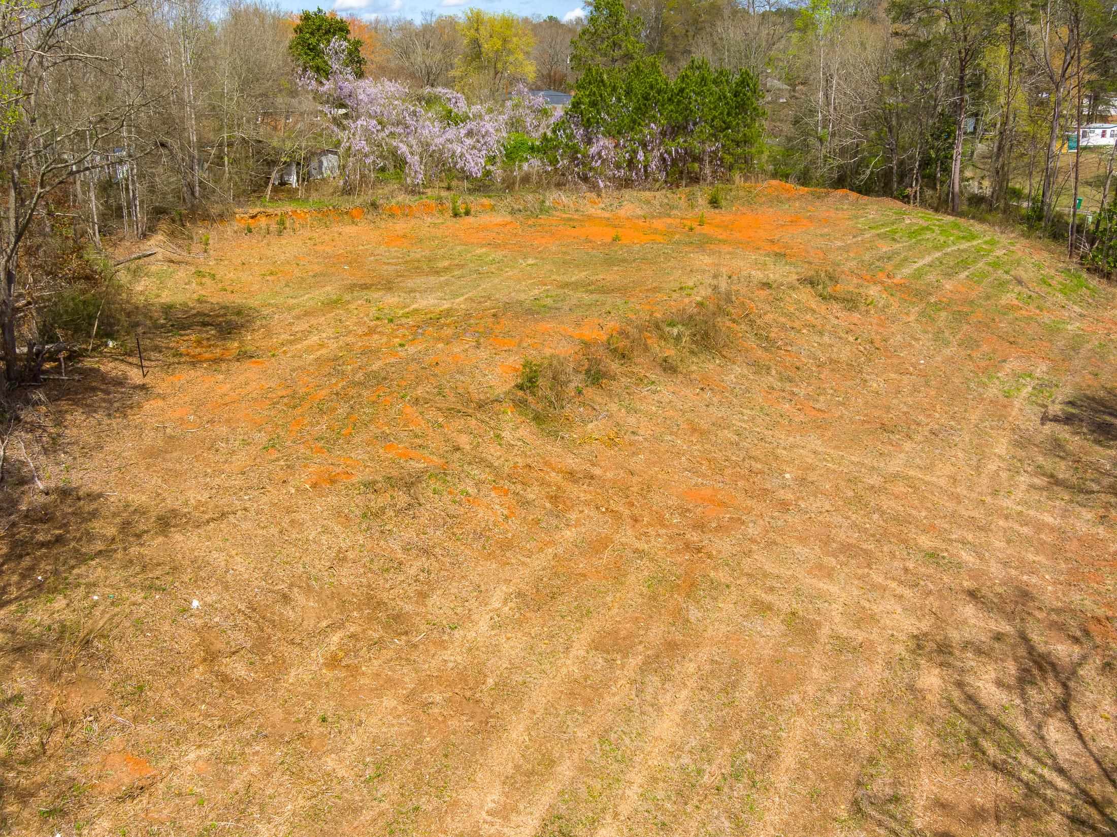 Flynn Rd, Landrum, South Carolina image 5
