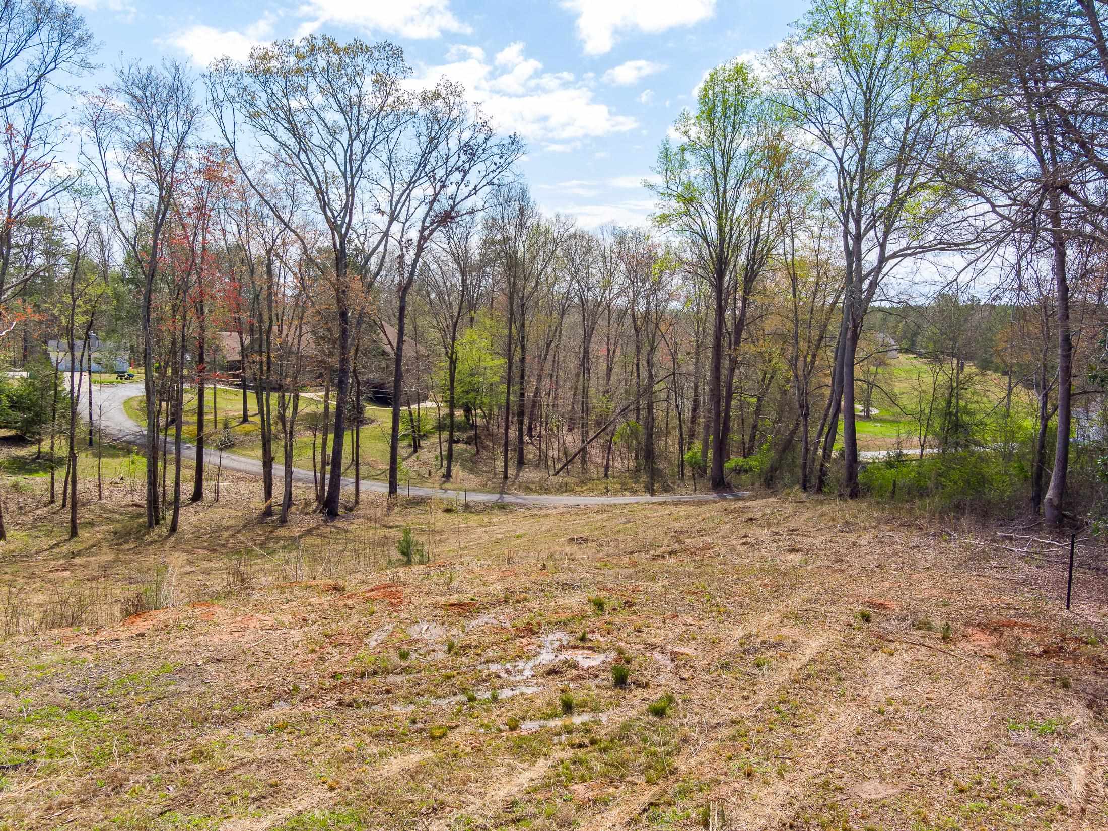 Flynn Rd, Landrum, South Carolina image 6