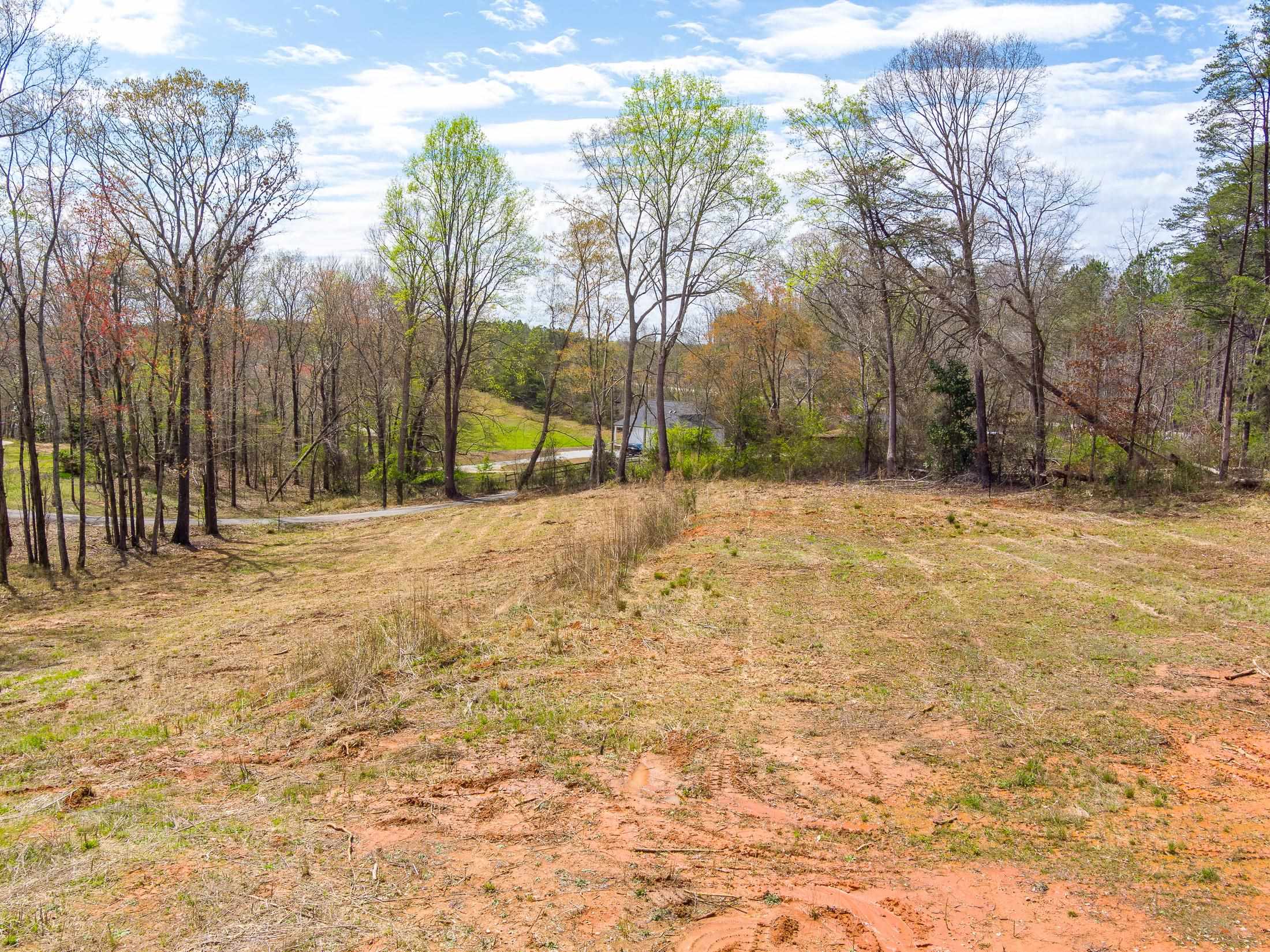 Flynn Rd, Landrum, South Carolina image 7