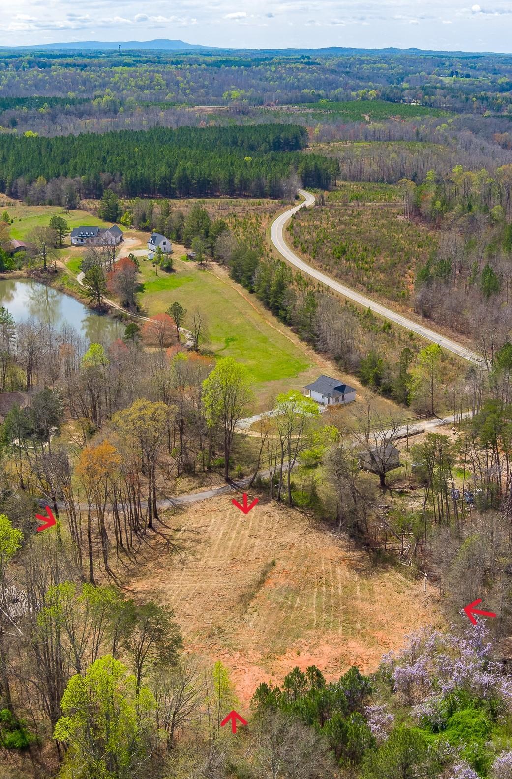 Flynn Rd, Landrum, South Carolina image 4