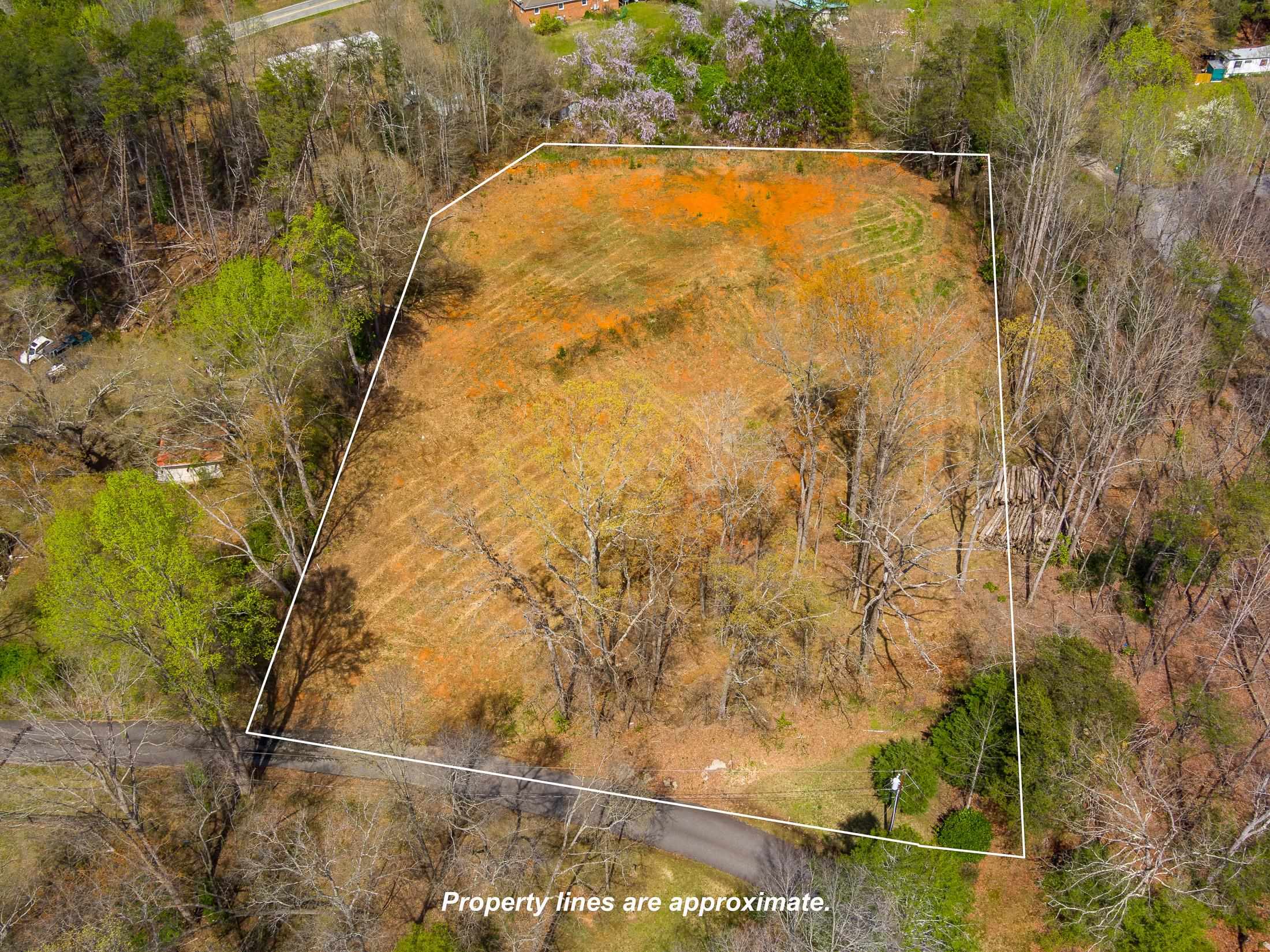 Flynn Rd, Landrum, South Carolina image 2