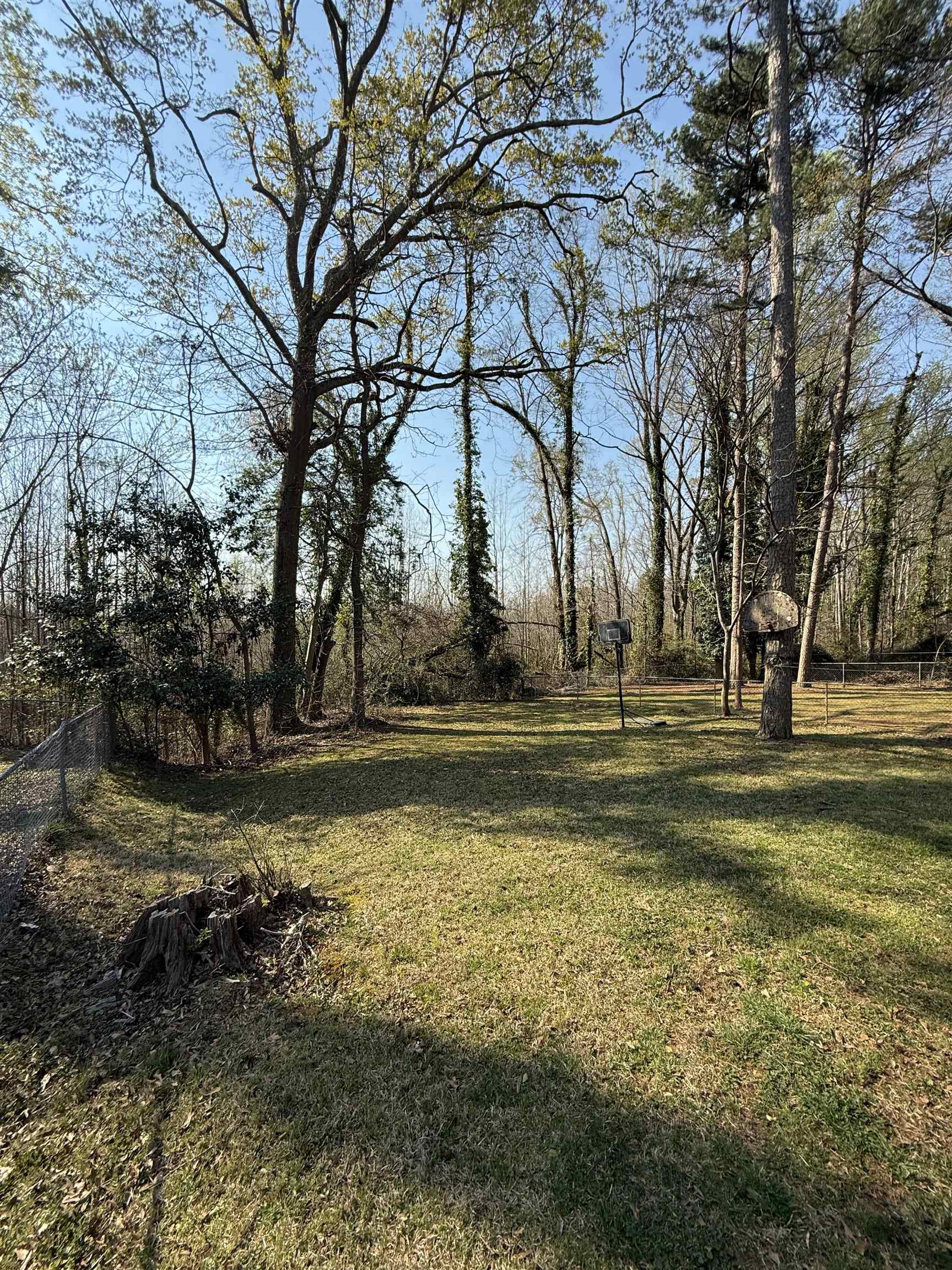 359 Woodview Avenue, Spartanburg, South Carolina image 14