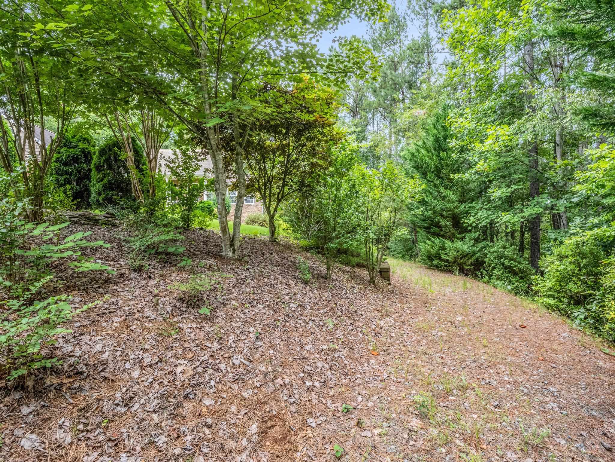 940 Hugh Champion Road, Tryon, North Carolina image 11
