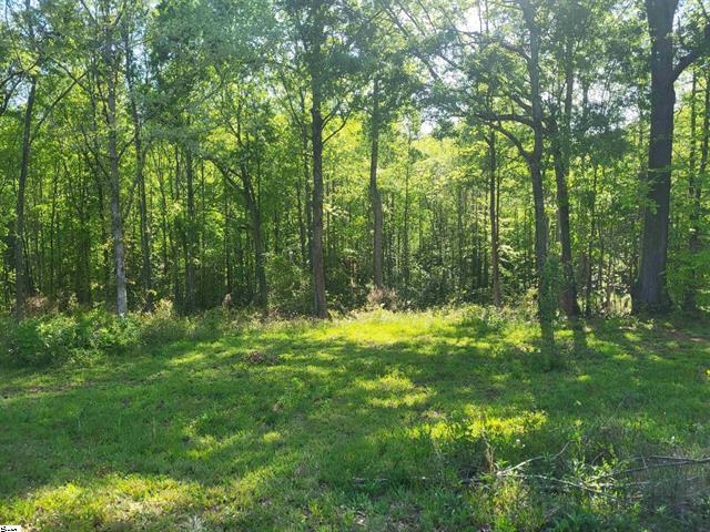 3151 N Highway 14, Greer, South Carolina image 2