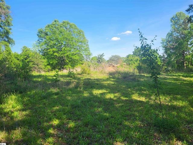 3151 N Highway 14, Greer, South Carolina image 11