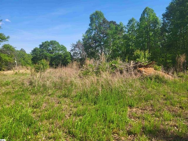 3151 N Highway 14, Greer, South Carolina image 8