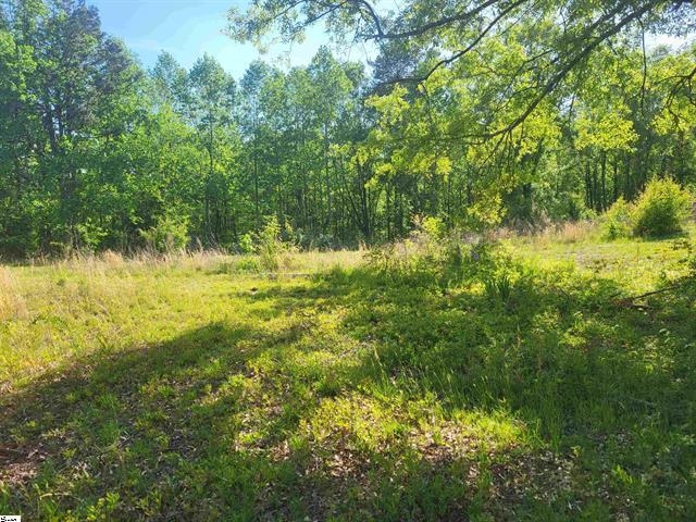 3151 N Highway 14, Greer, South Carolina image 4