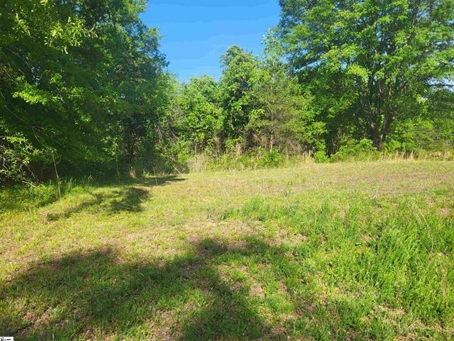 3151 N Highway 14, Greer, South Carolina image 9