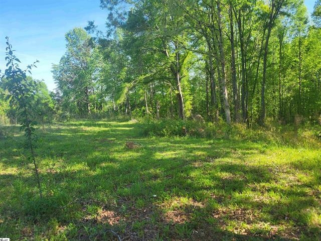 3151 N Highway 14, Greer, South Carolina image 10