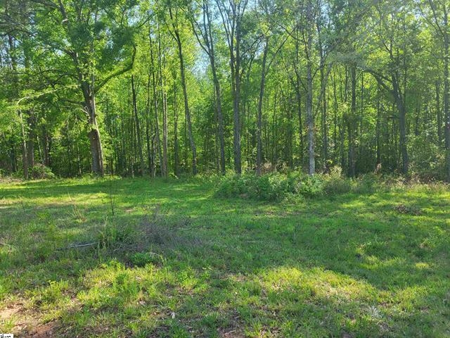 3151 N Highway 14, Greer, South Carolina image 3