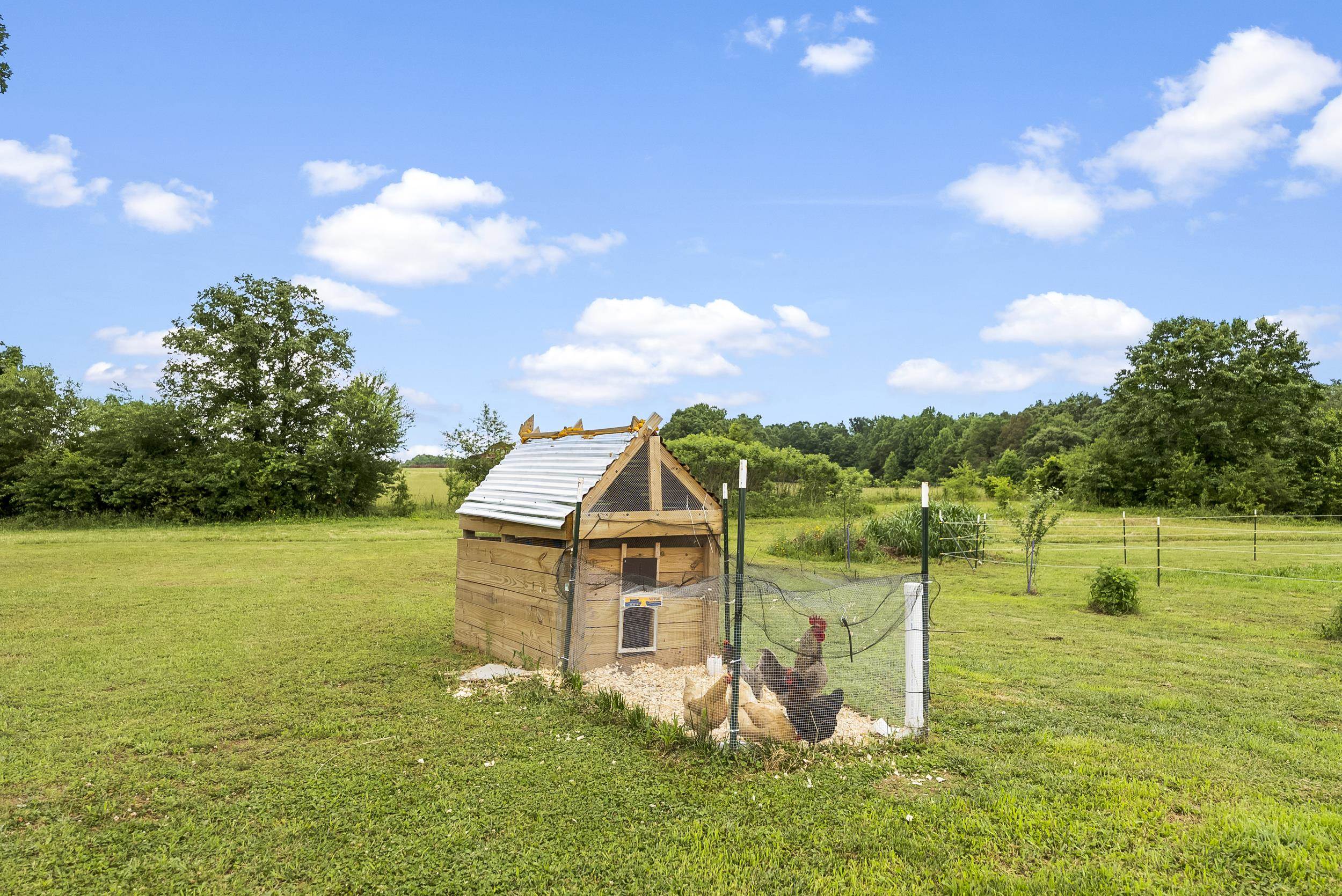 262 Grassy Pond Creek Road, Gaffney, South Carolina image 25