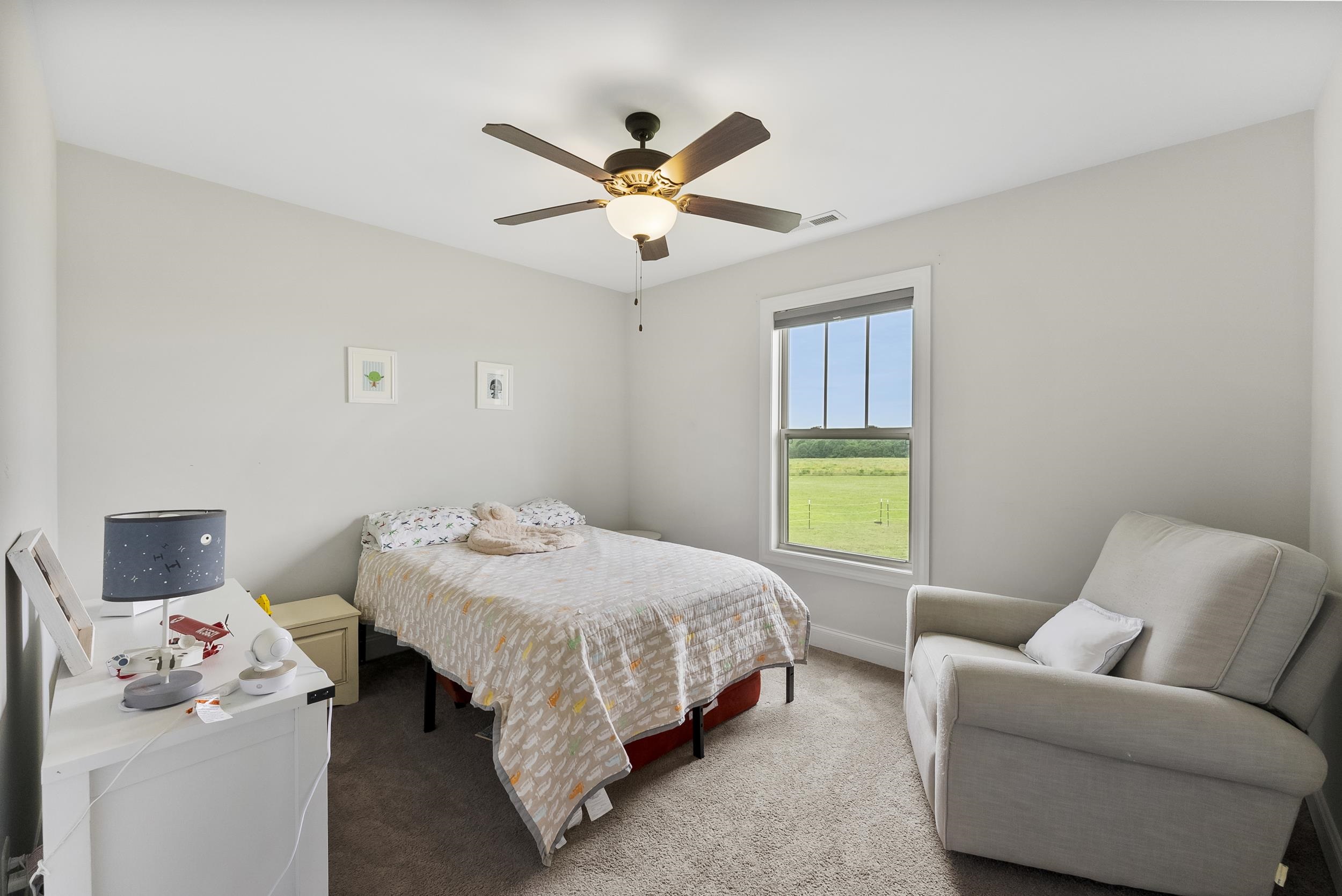 262 Grassy Pond Creek Road, Gaffney, South Carolina image 19