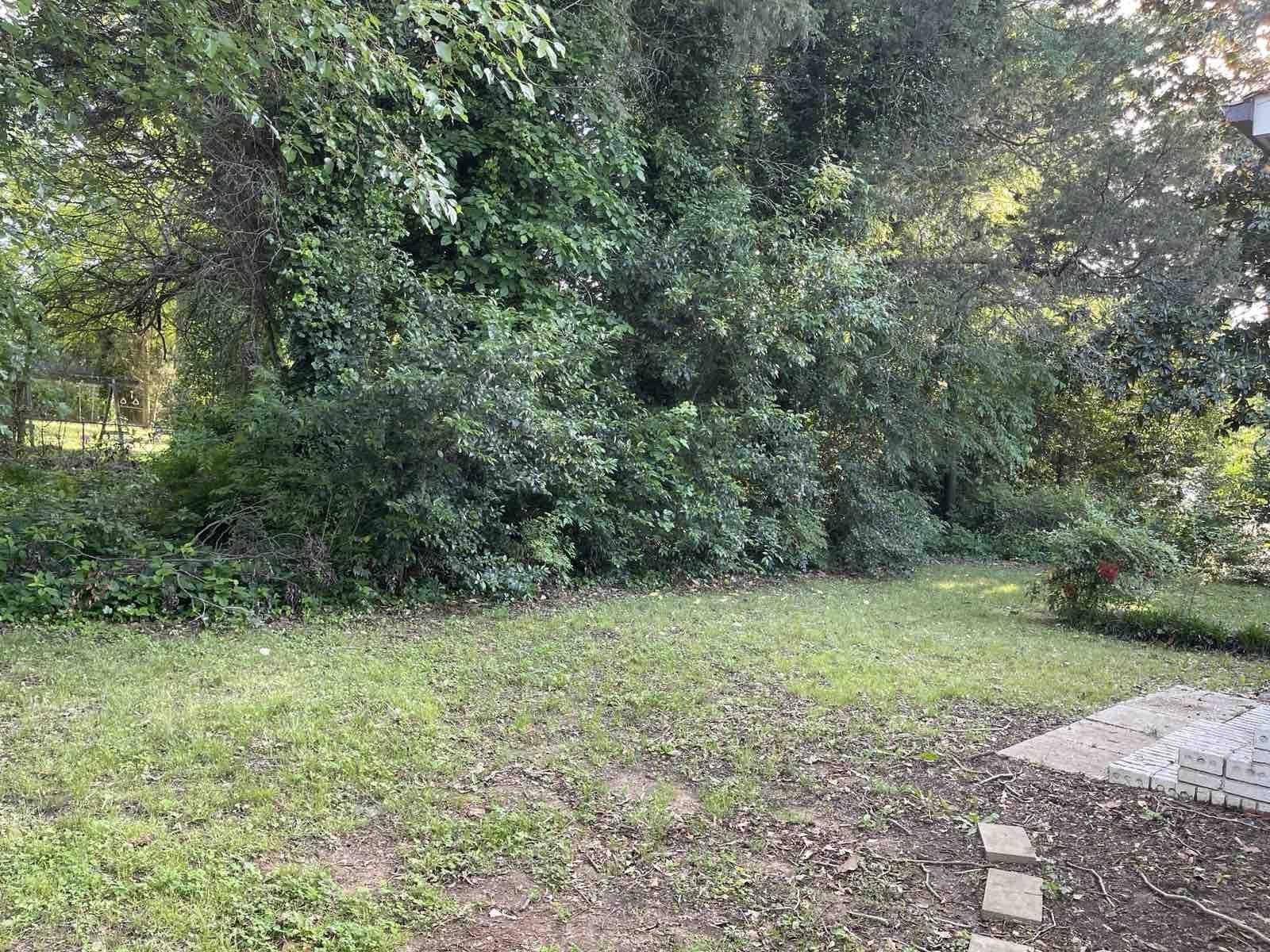 130 Dogwood Ave Ave, Spartanburg, South Carolina image 19