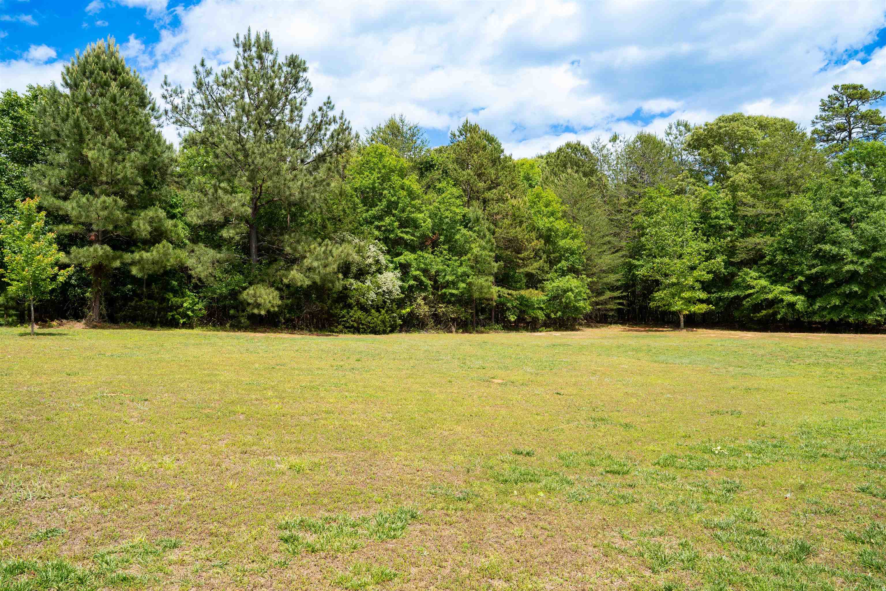 531 Thorn Cove Drive, Chesnee, South Carolina image 10