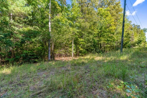 Vacant Land For Sale - Singing Oaks<br/> Oconee County, Mountain Rest, SC 29664