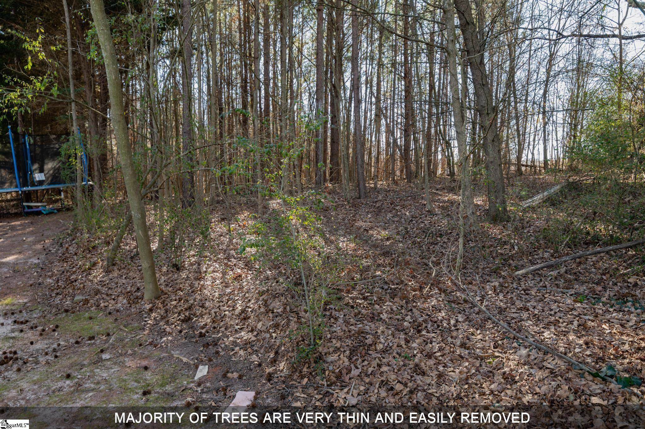 Hurricane Creek Road, Piedmont, South Carolina image 3