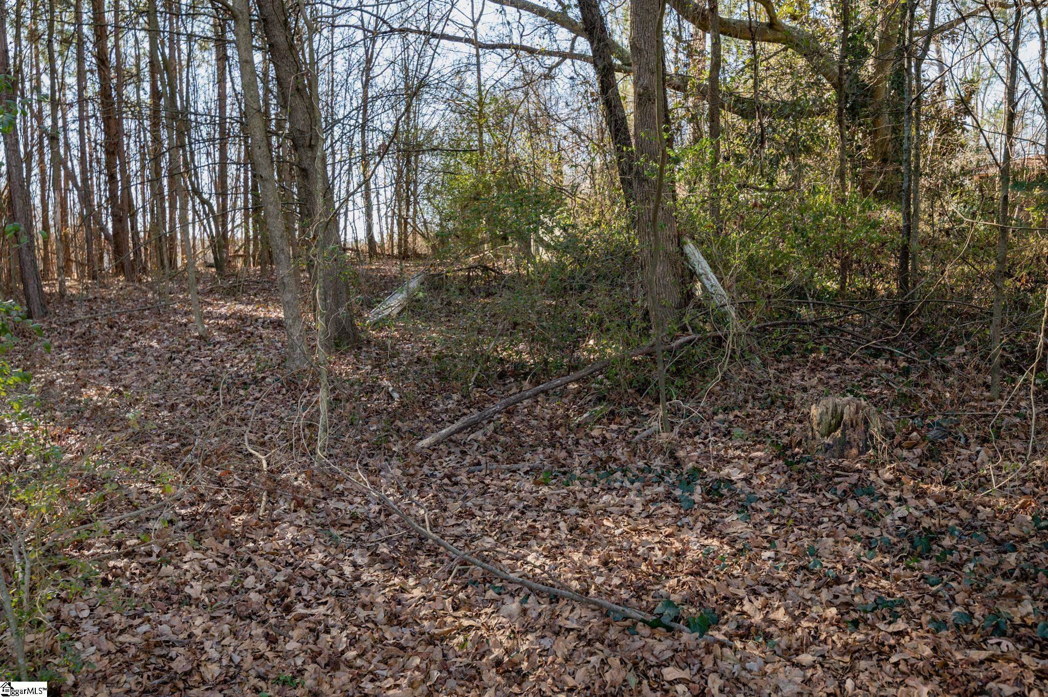 Hurricane Creek Road, Piedmont, South Carolina image 4