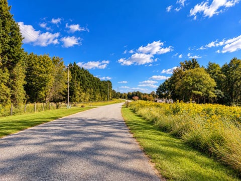 Vacant Land For Sale - 524 Wilkins Ford Road<br/> Inman, SC 29349