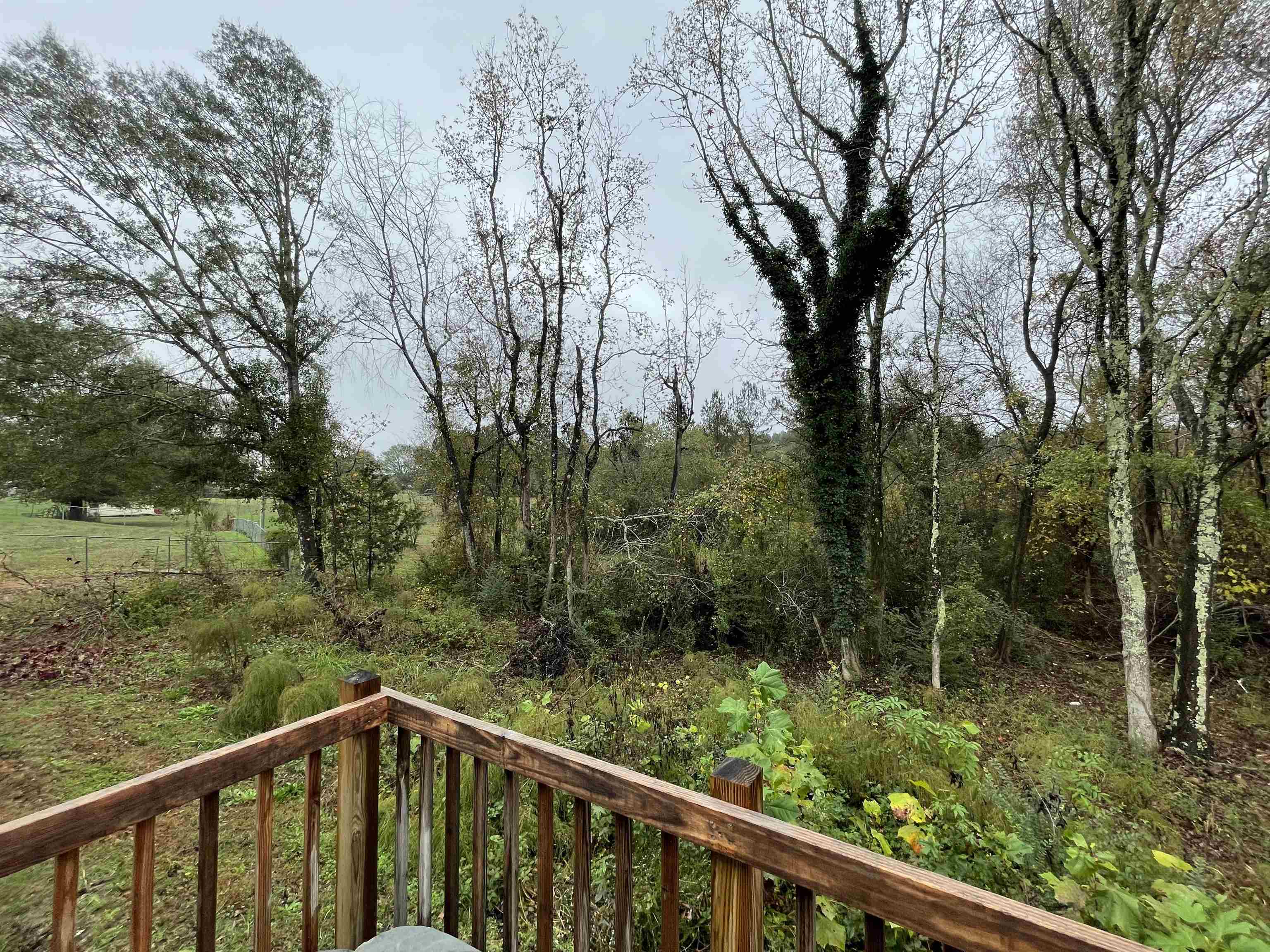 363 Sara Ann Lane, Roebuck, South Carolina image 22