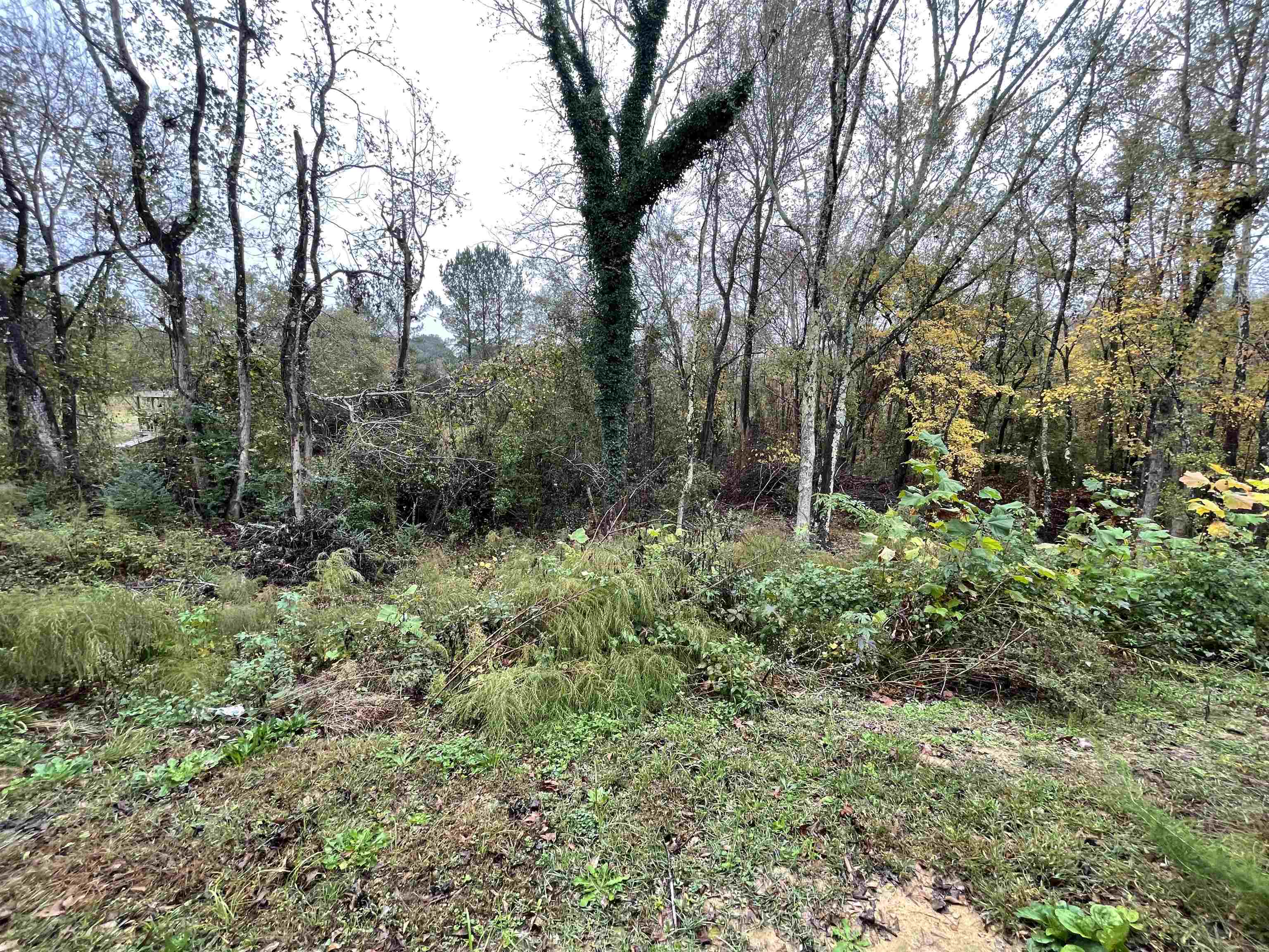 363 Sara Ann Lane, Roebuck, South Carolina image 23