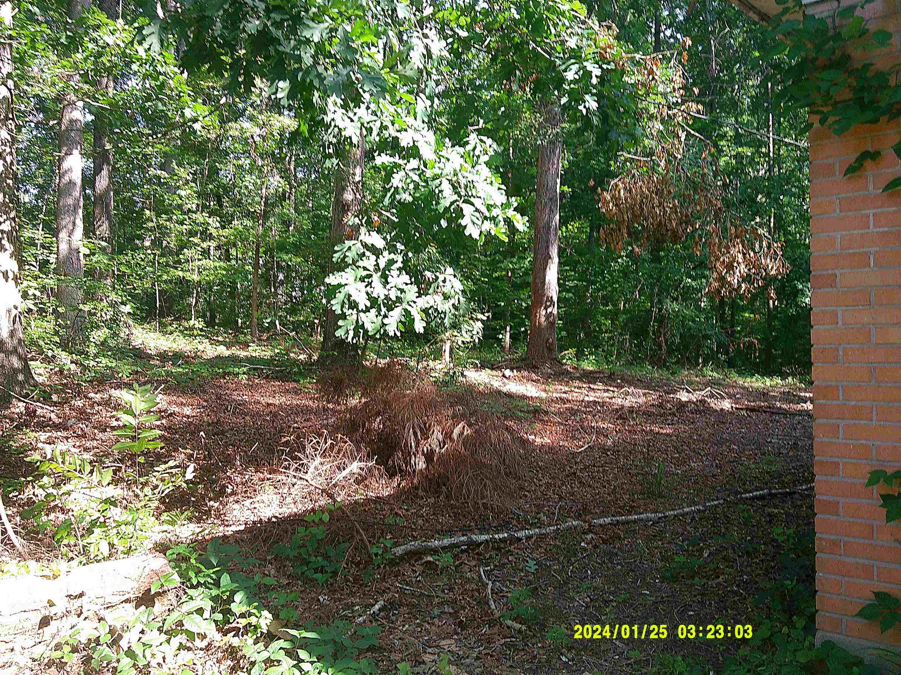 796 Neal Street, Woodruff, South Carolina image 3