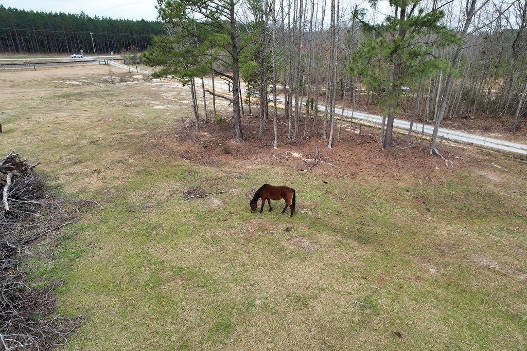 2213 Santuc Carlisle Highway, Union, South Carolina image 33