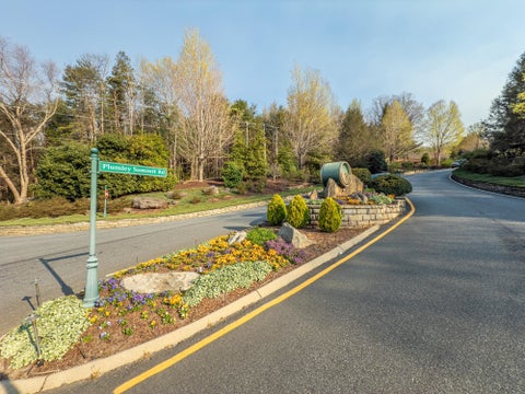 Vacant Land For Sale - 2 Park Green Way<br/> Landrum, SC 29356