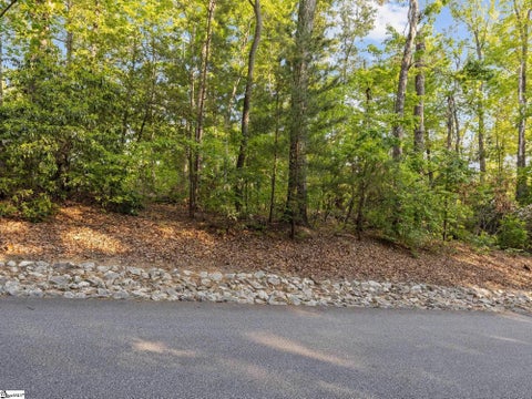 Vacant Land For Sale - 5 Rhone Valley Circle<br/> Greenville County, Travelers Rest, SC 29690