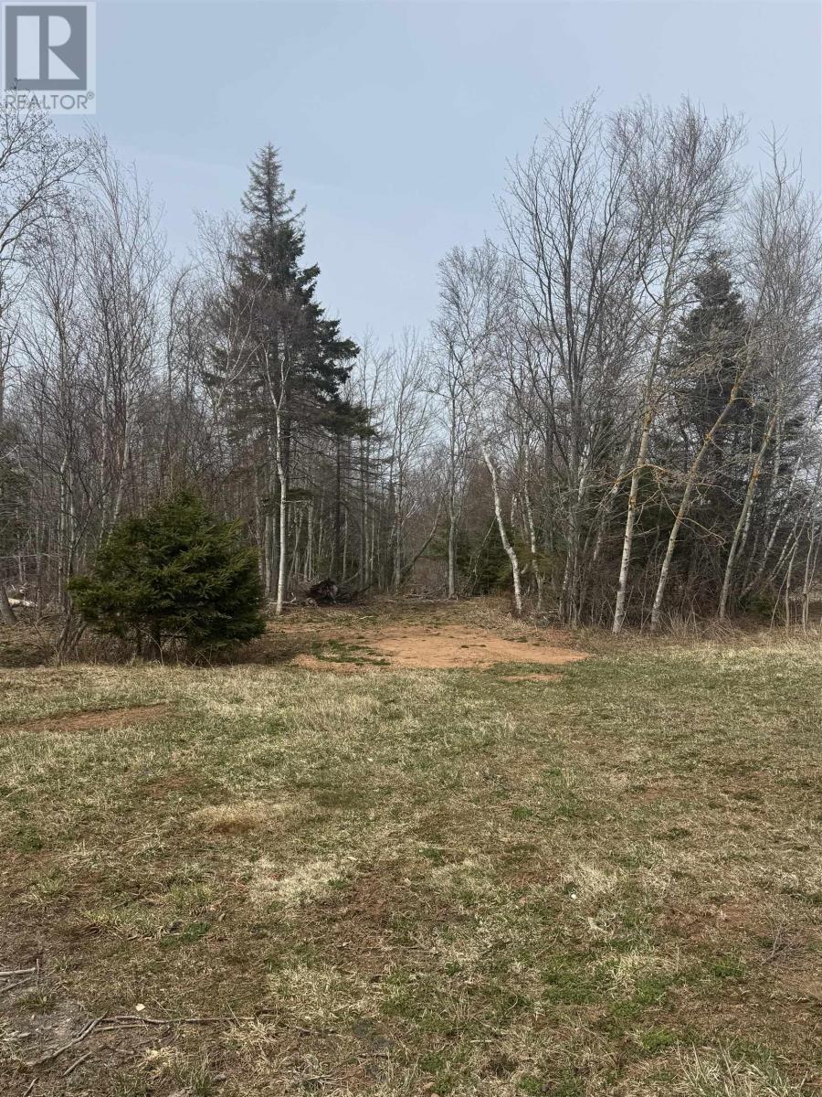 ACREAGE GUERNSEY COVE Road - Photo 3