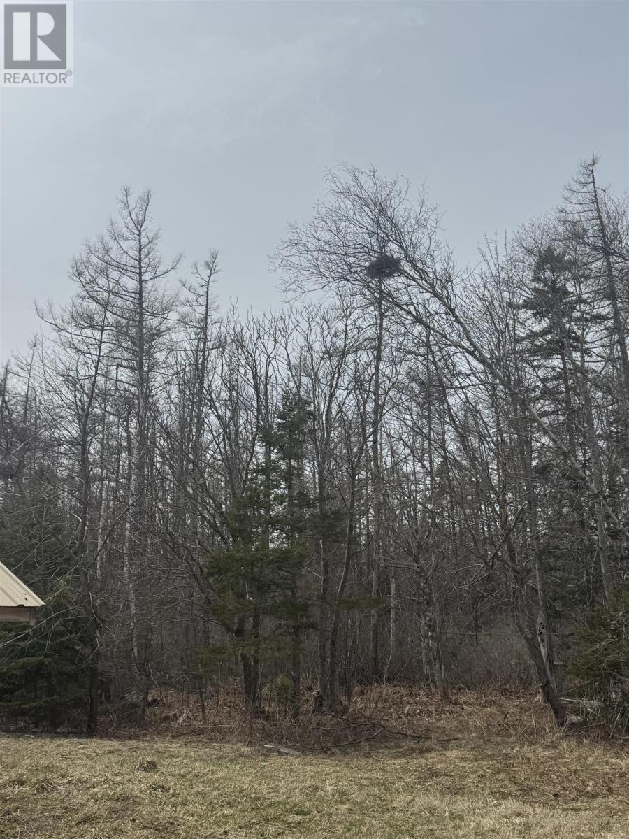 ACREAGE GUERNSEY COVE Road - Photo 4
