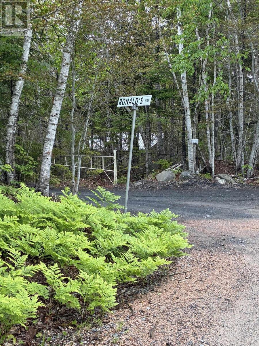 Lot 28 Russells Cove Road - Photo 2