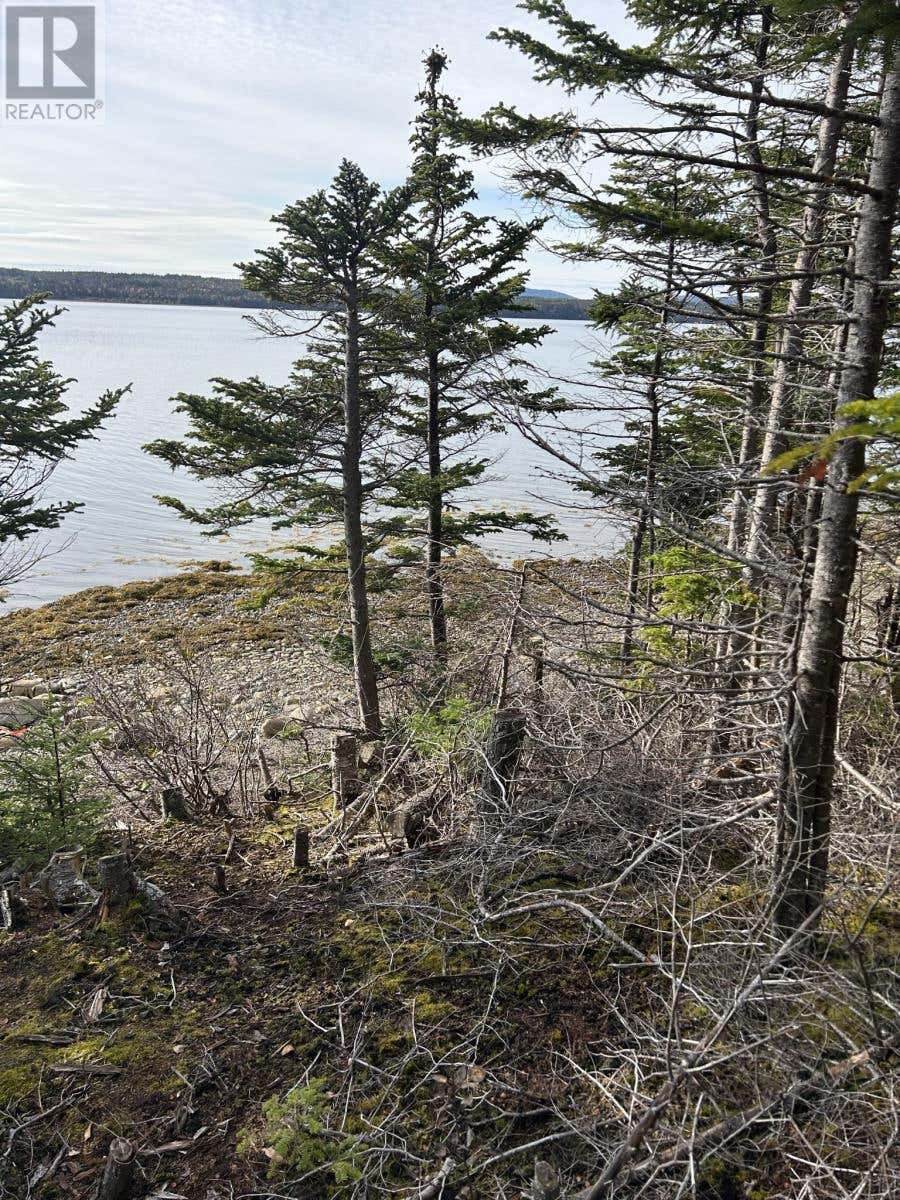 LOT #2, ROUTE 232 SMITH SOUND ROAD