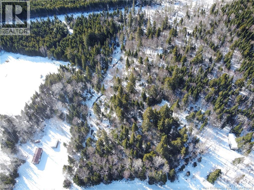 Lot 107 Route - Photo 3