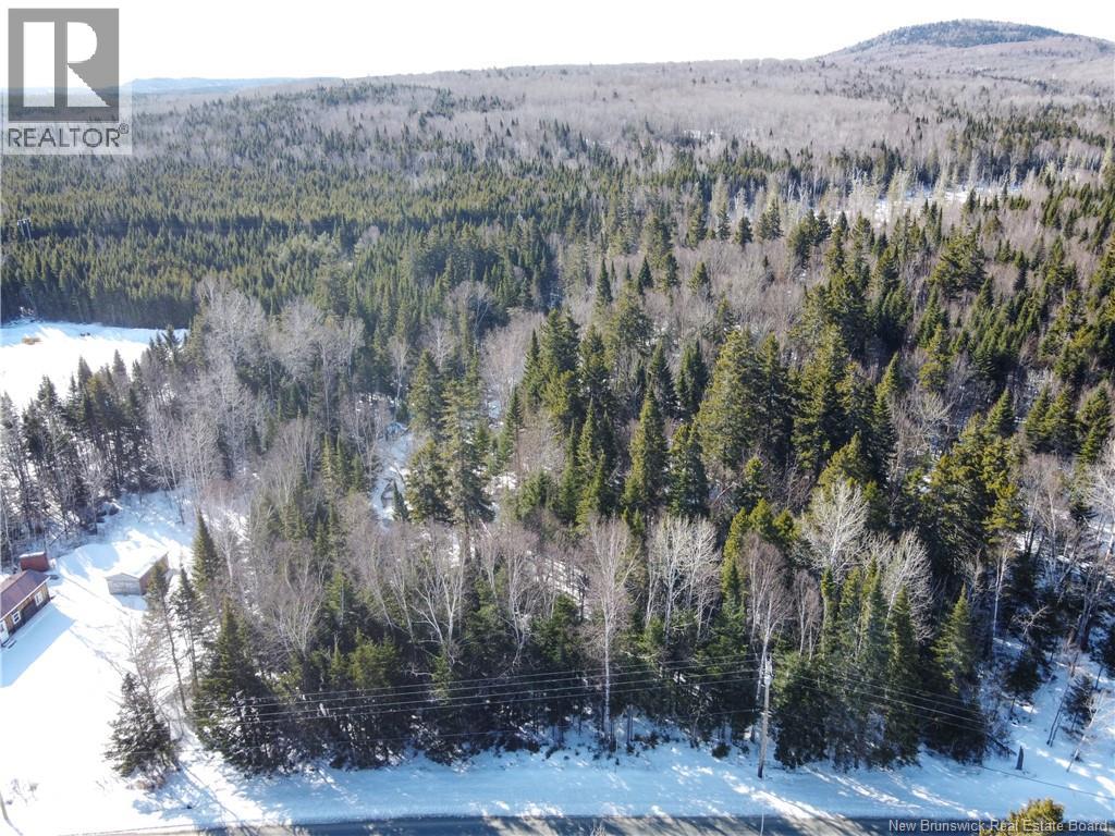 Lot 107 Route - Photo 4