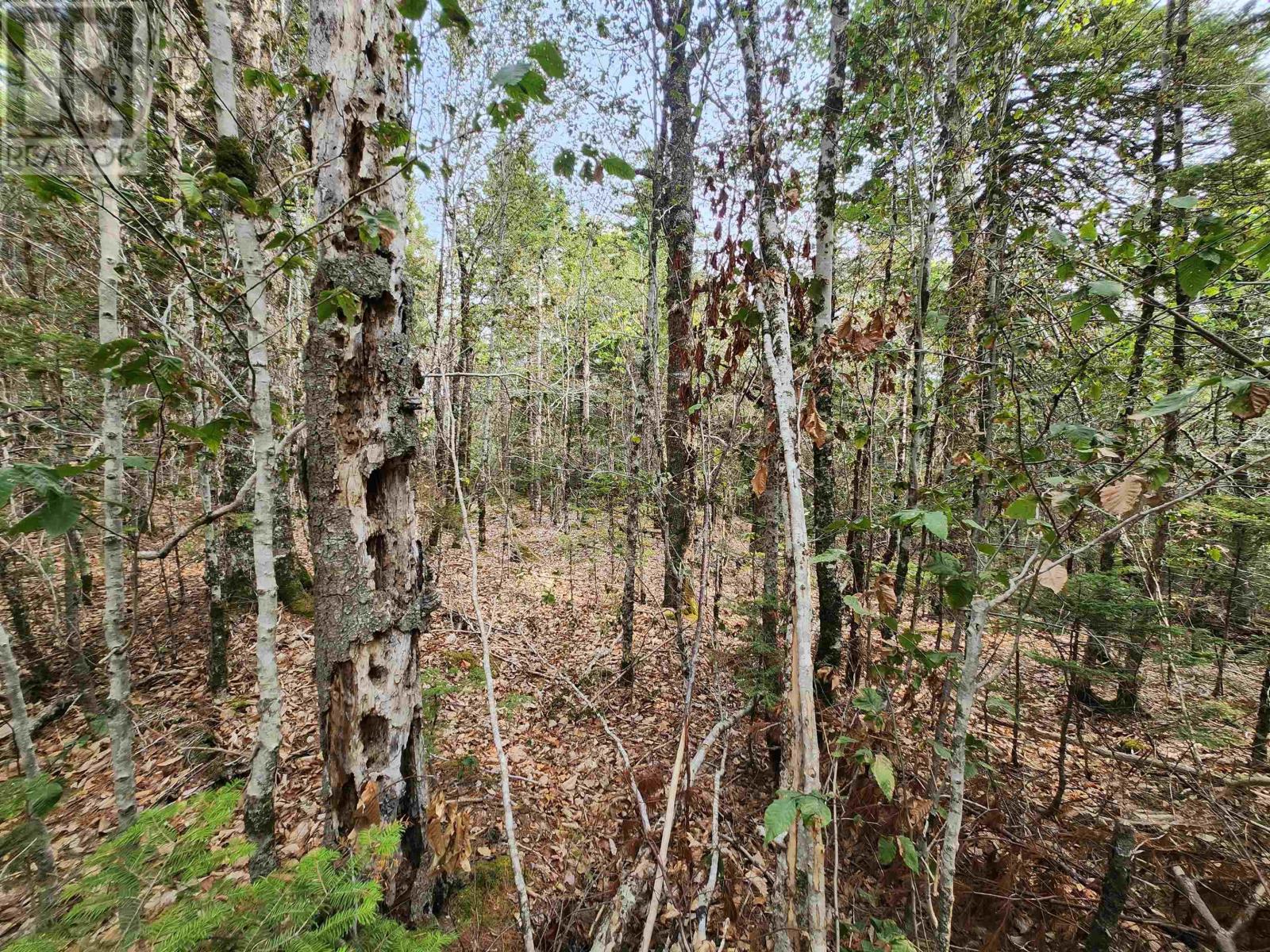 Lot 69 Turner Point Crossover - Photo 4